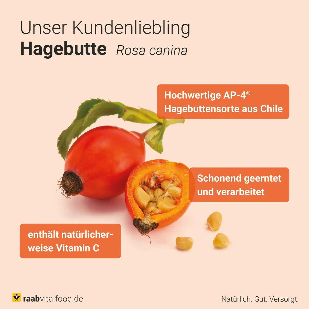 Bio Hagebutten Pulver (150g) – Bild 6