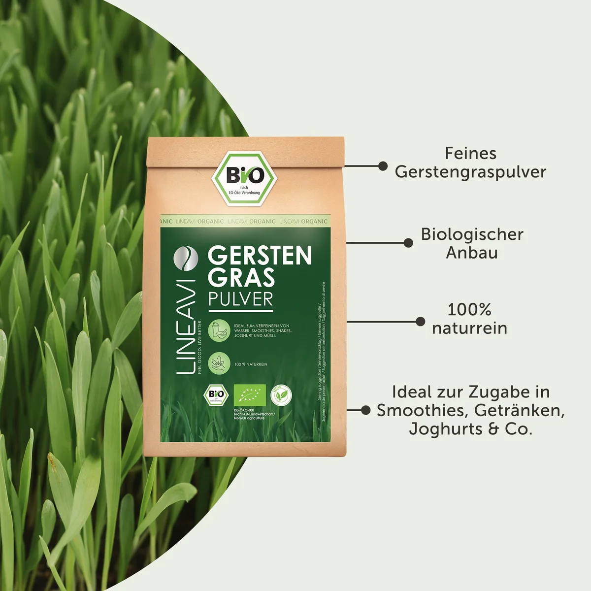 Gerstengraspulver bio (1000g) – Bild 3