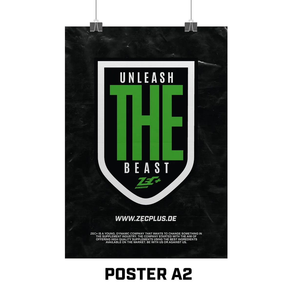 ZEC+ POSTER A1 / INLY – Bild 6