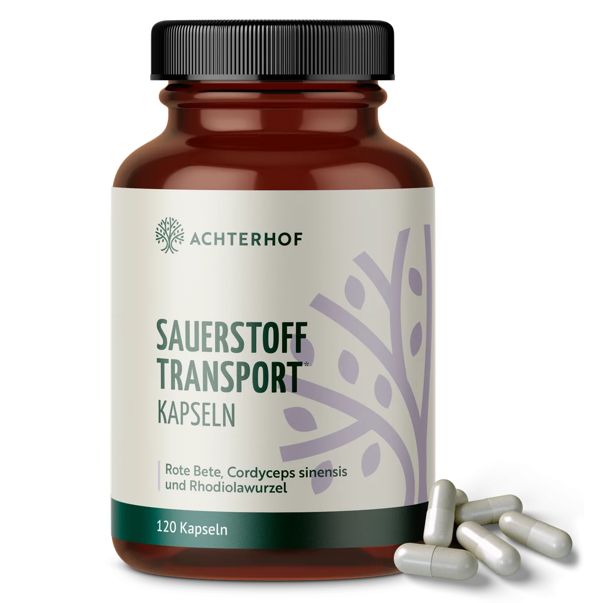 Sauerstoff Transport Kapseln (120 Kapseln)