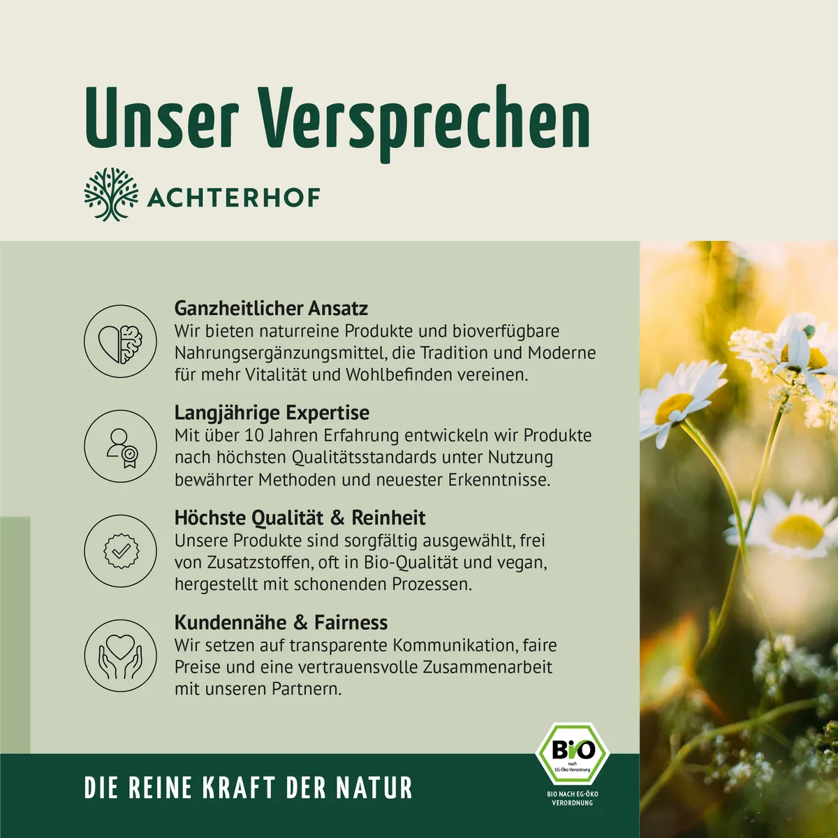 Bio Nachtkerzenöl (500ml) – Bild 8