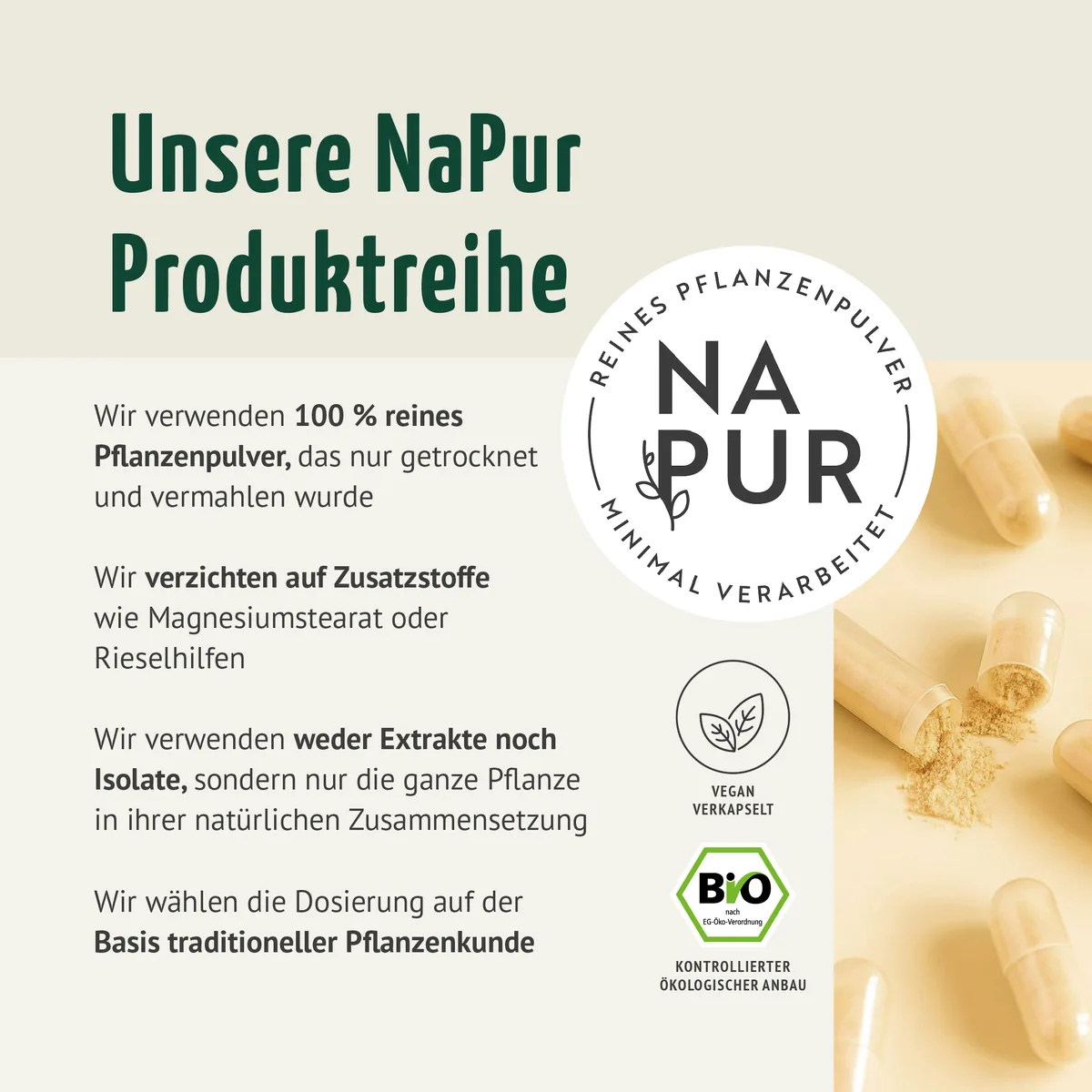 Spermidin Kapseln Bio (180 Kapseln) – Bild 2
