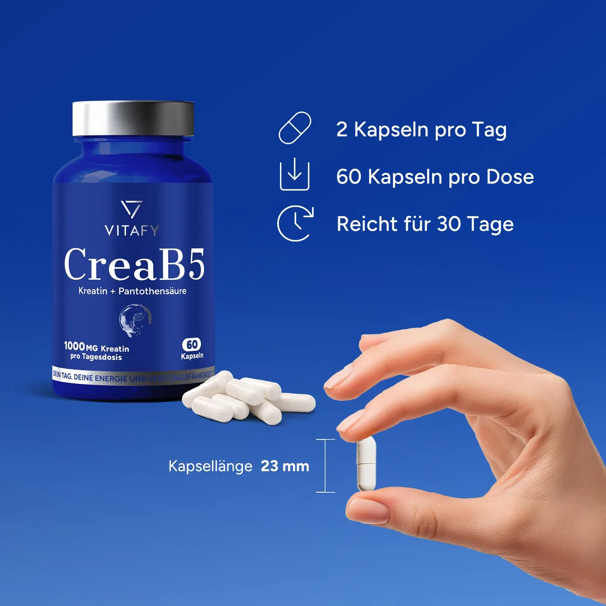 CreaB5 (60 Kapseln) – Bild 5
