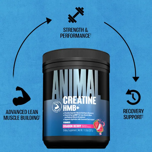 Animal Creatine HMB+ (330g) Dragon Berry – Bild 7