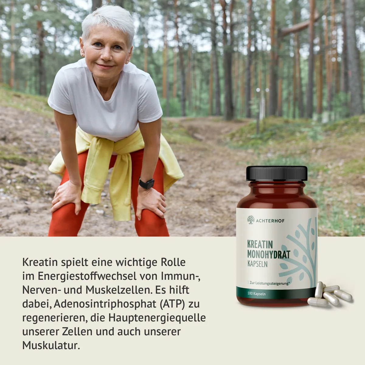 Kreatin Monohydrat Kapseln (180 Kapseln) – Bild 3