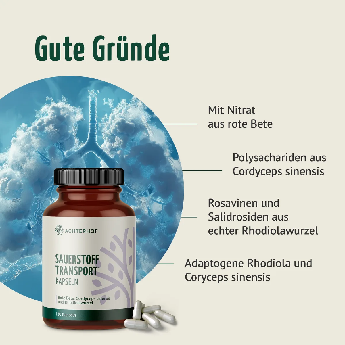 Sauerstoff Transport Kapseln (120 Kapseln) – Bild 2