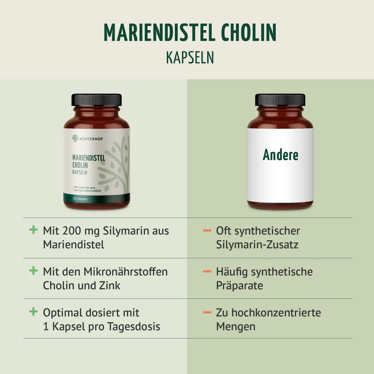 Mariendistel Cholin Kapseln (120 Kapseln) – Bild 5
