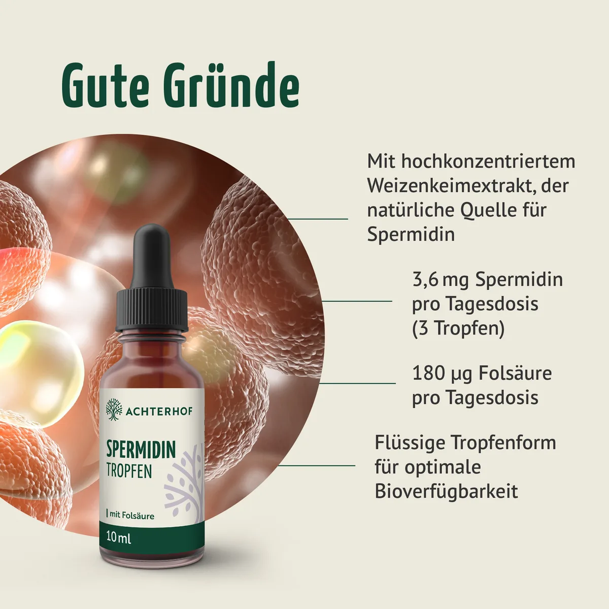 Essential Reds & Spermidin Tropfen Set – Bild 7