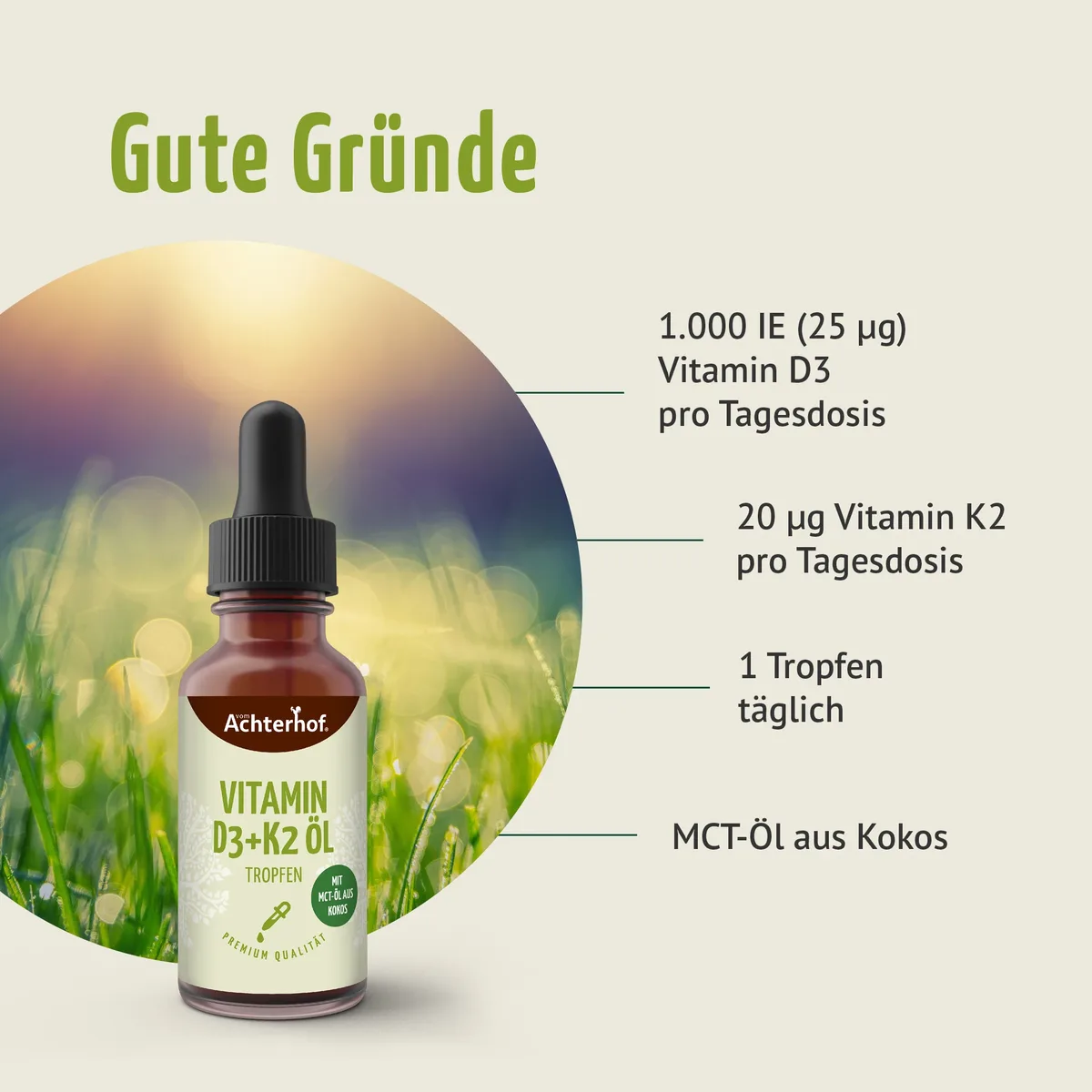 Fit durch den Herbst Klassiker Set – Bild 5