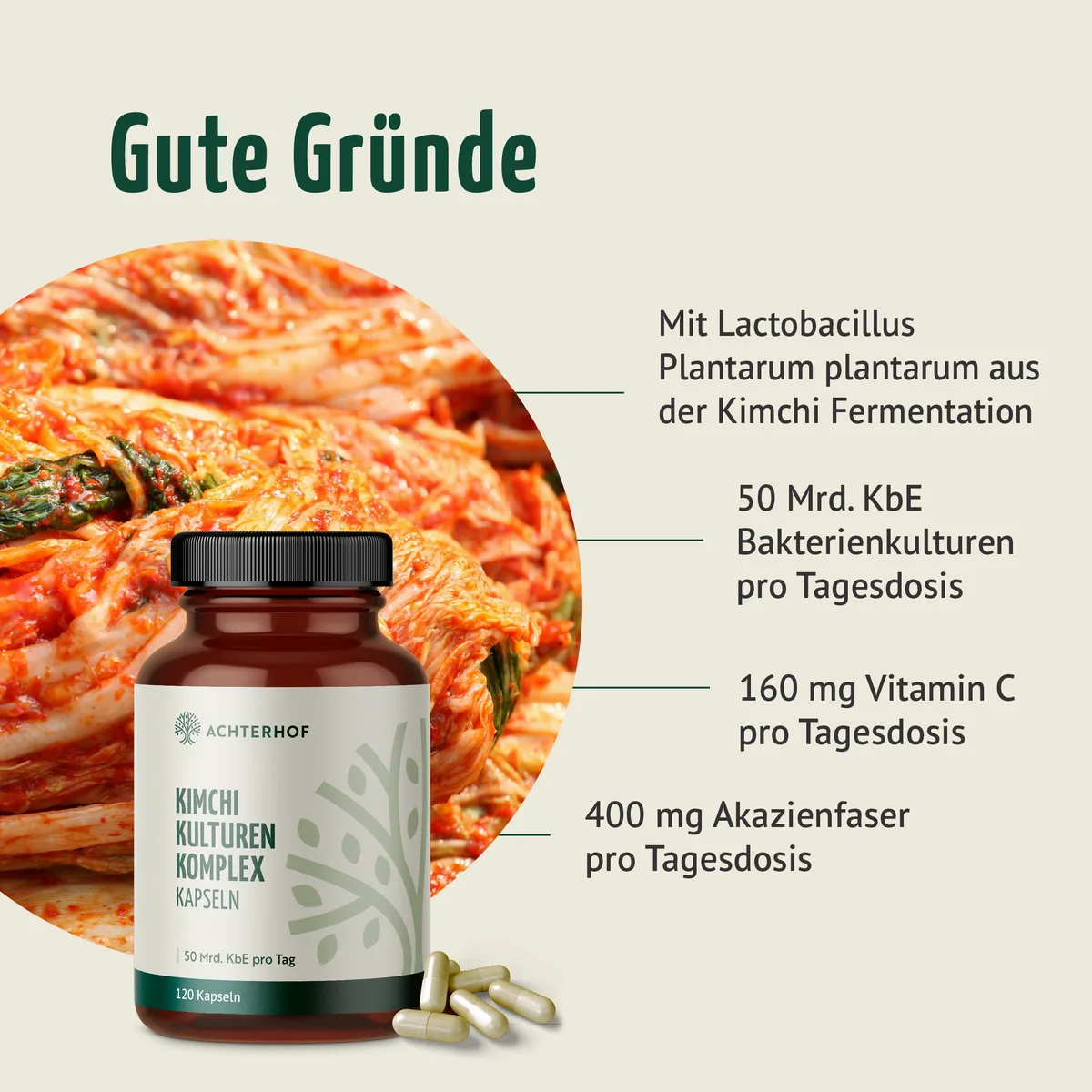 Kimchi Kulturen Komplex (120 Kapseln) – Bild 2