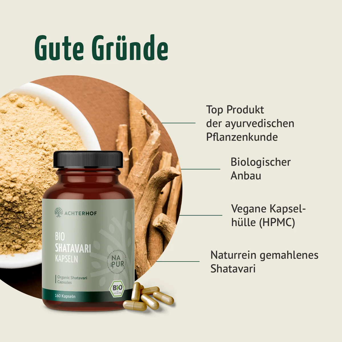 Shatavari Kapseln Bio (160 Kapseln) – Bild 3