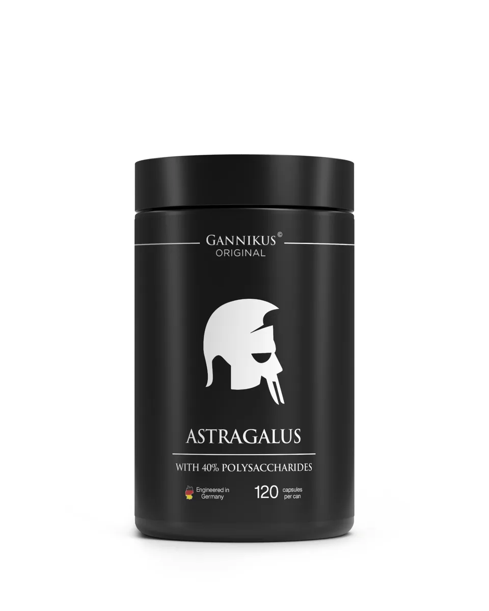 ASTRAGALUS - 120 Kapseln
