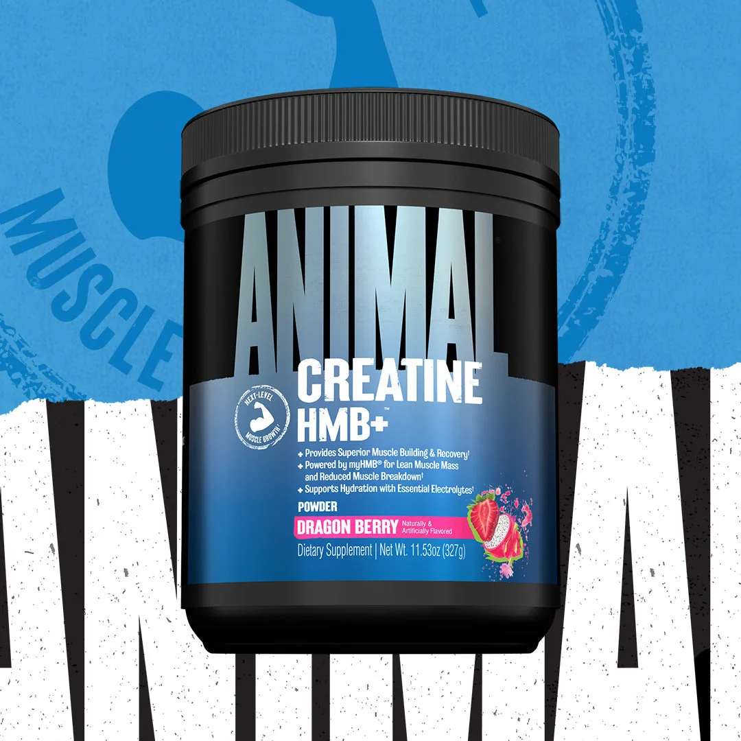Animal Creatine HMB+ (330g) Dragon Berry – Bild 4
