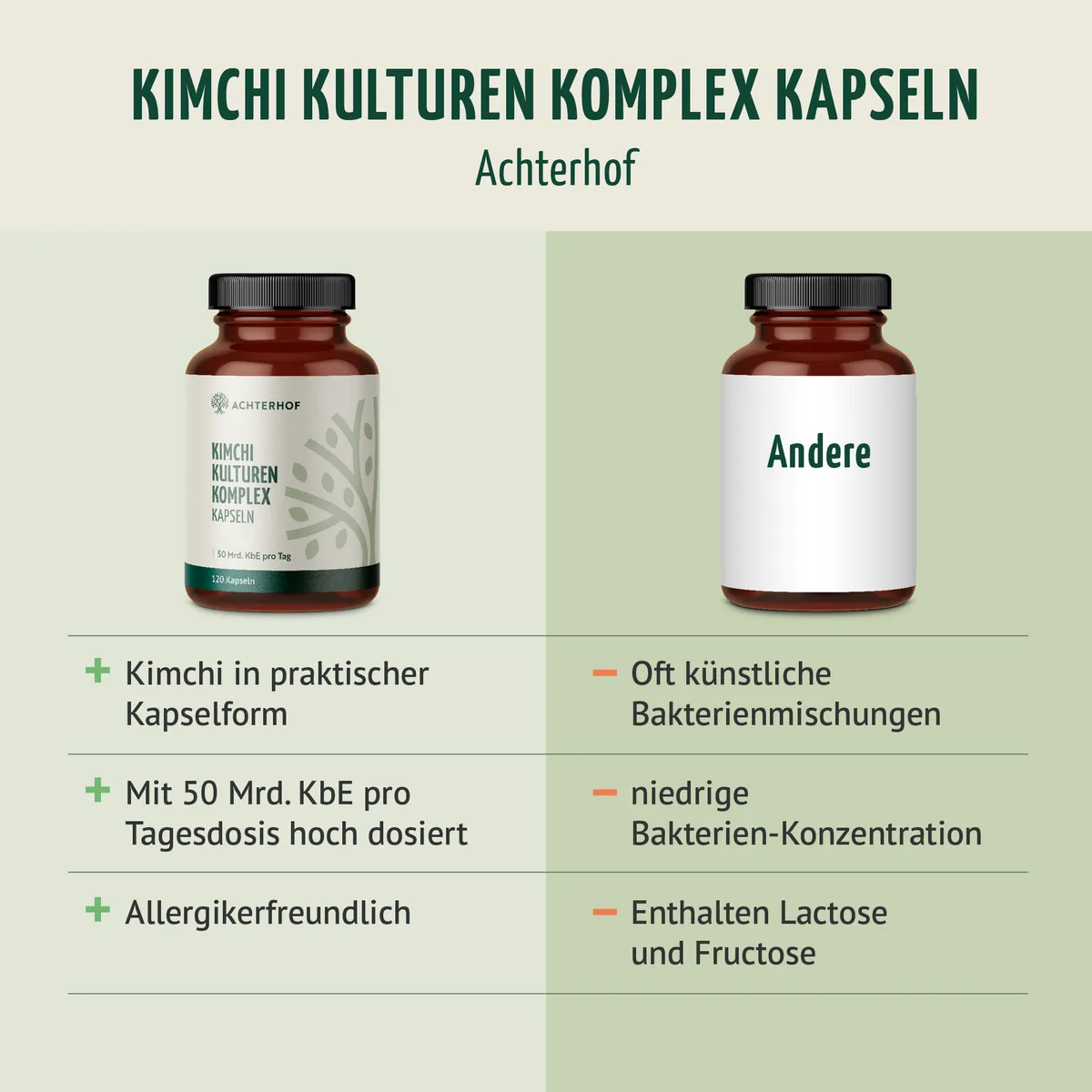 Kimchi Kulturen Komplex (120 Kapseln) – Bild 5