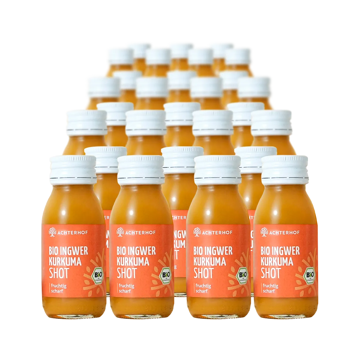 Monatskur Ingwer Kurkuma Shot Bio – Bild 4