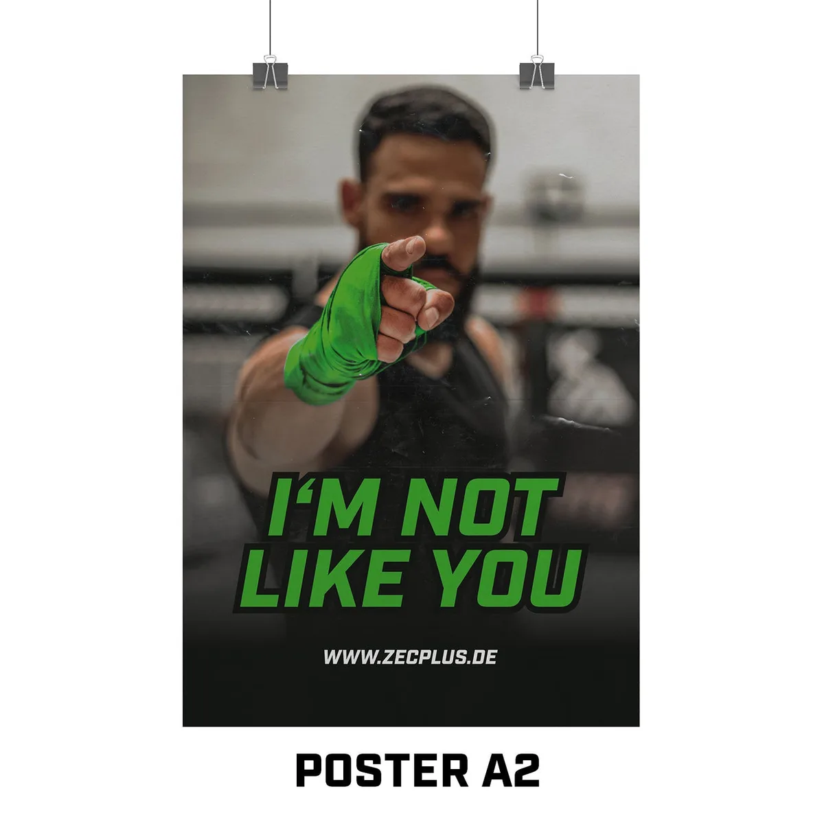 ZEC+ POSTER A1 / INLY – Bild 8