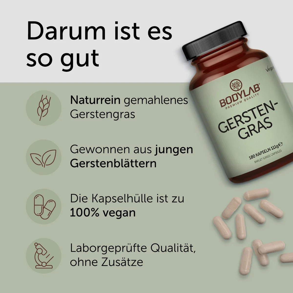 Gerstengras (180 Kapseln) – Bild 2