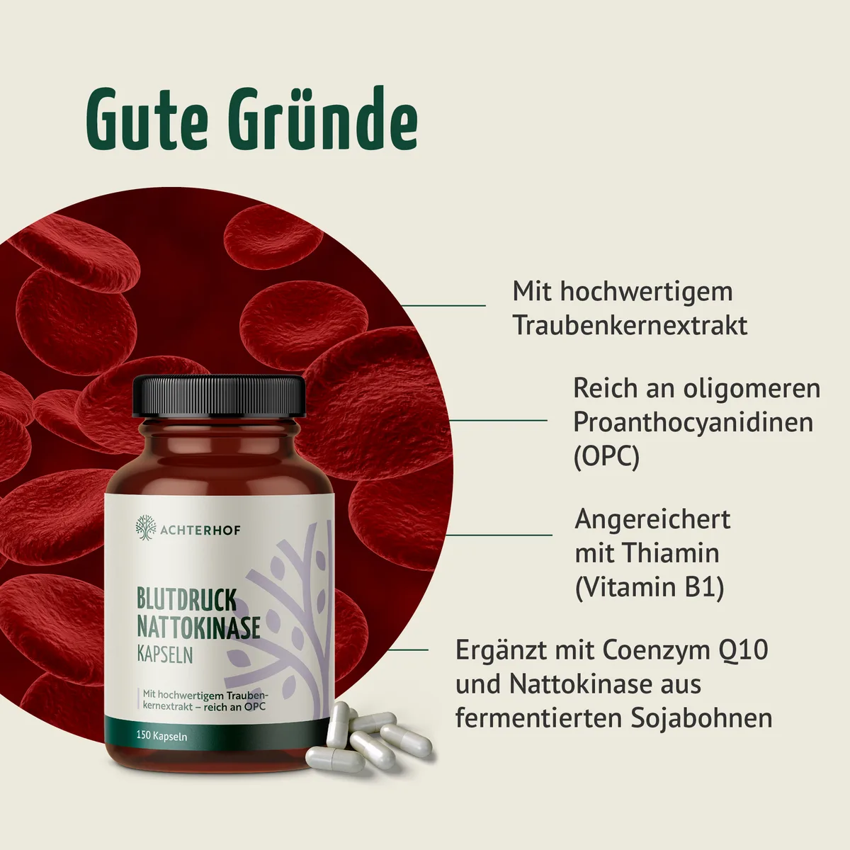 Blutdruck Nattokinase Kapseln (150 Kapseln) – Bild 2