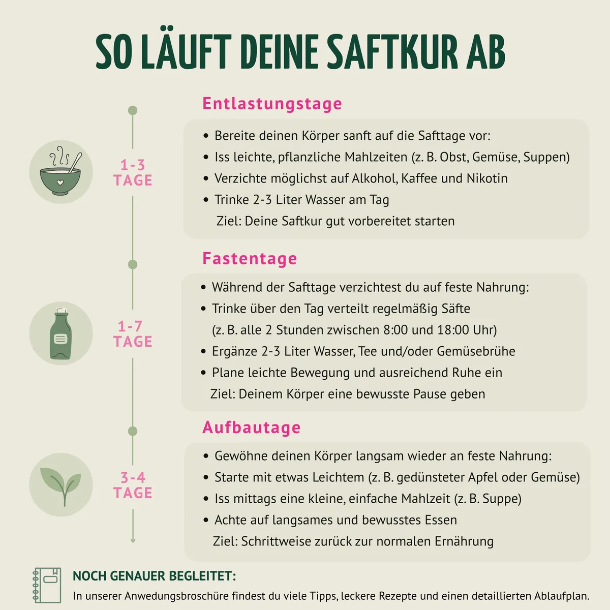 Saftstart Bio Fastenkur 1-7 Tage (6 Flaschen pro Tag) – Bild 4