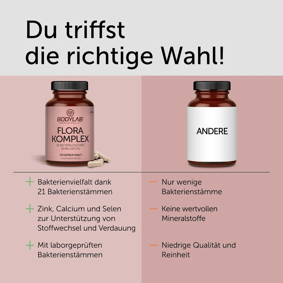 Flora Complex / Komplex (150 Kapseln) (21 Bacteria Cultures 20 Billion CFU) – Bild 3