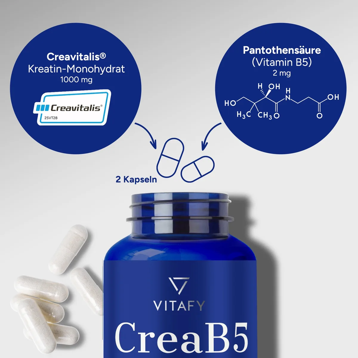 CreaB5 (60 Kapseln) – Bild 4