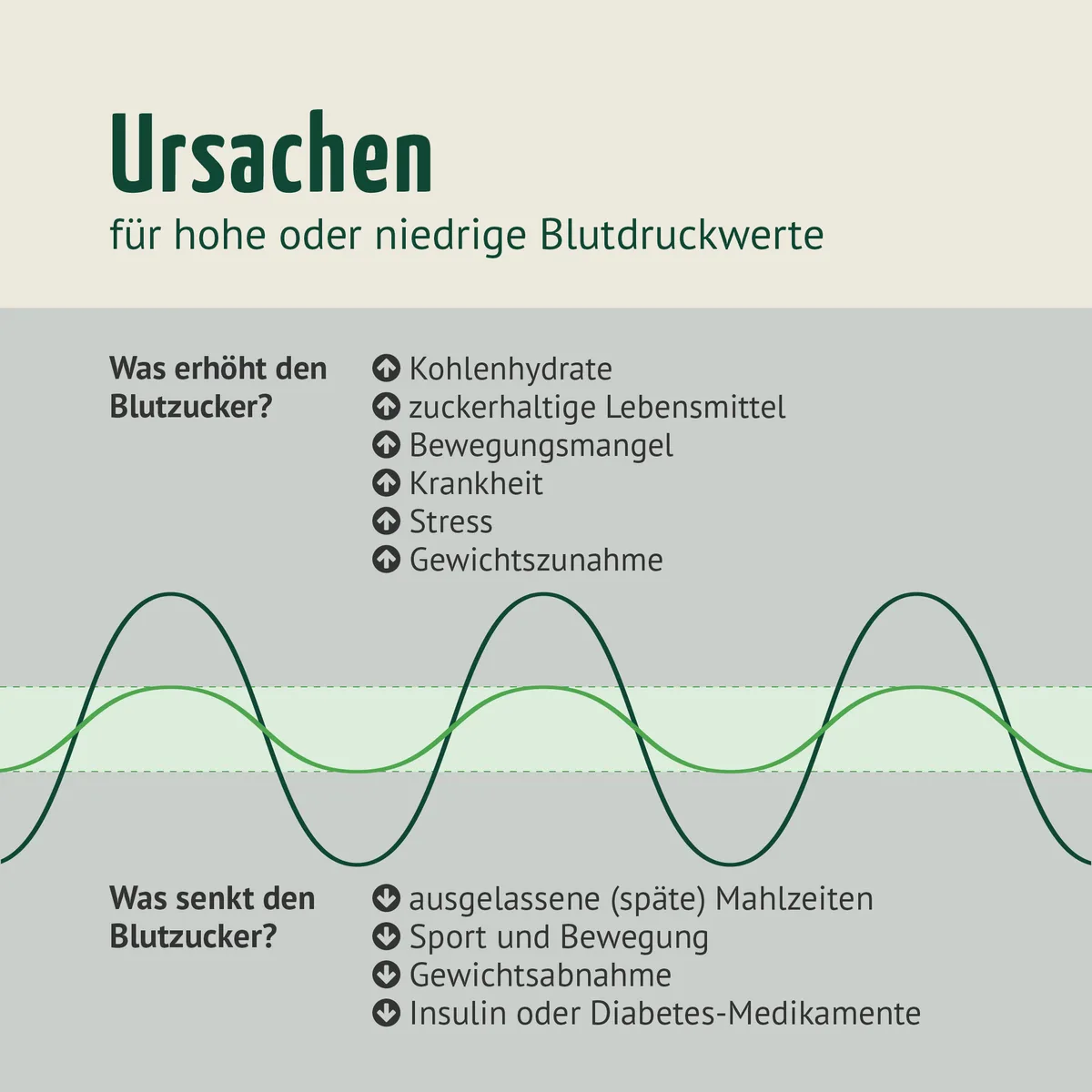 Blutzucker Komplex (120 Kapseln) – Bild 5