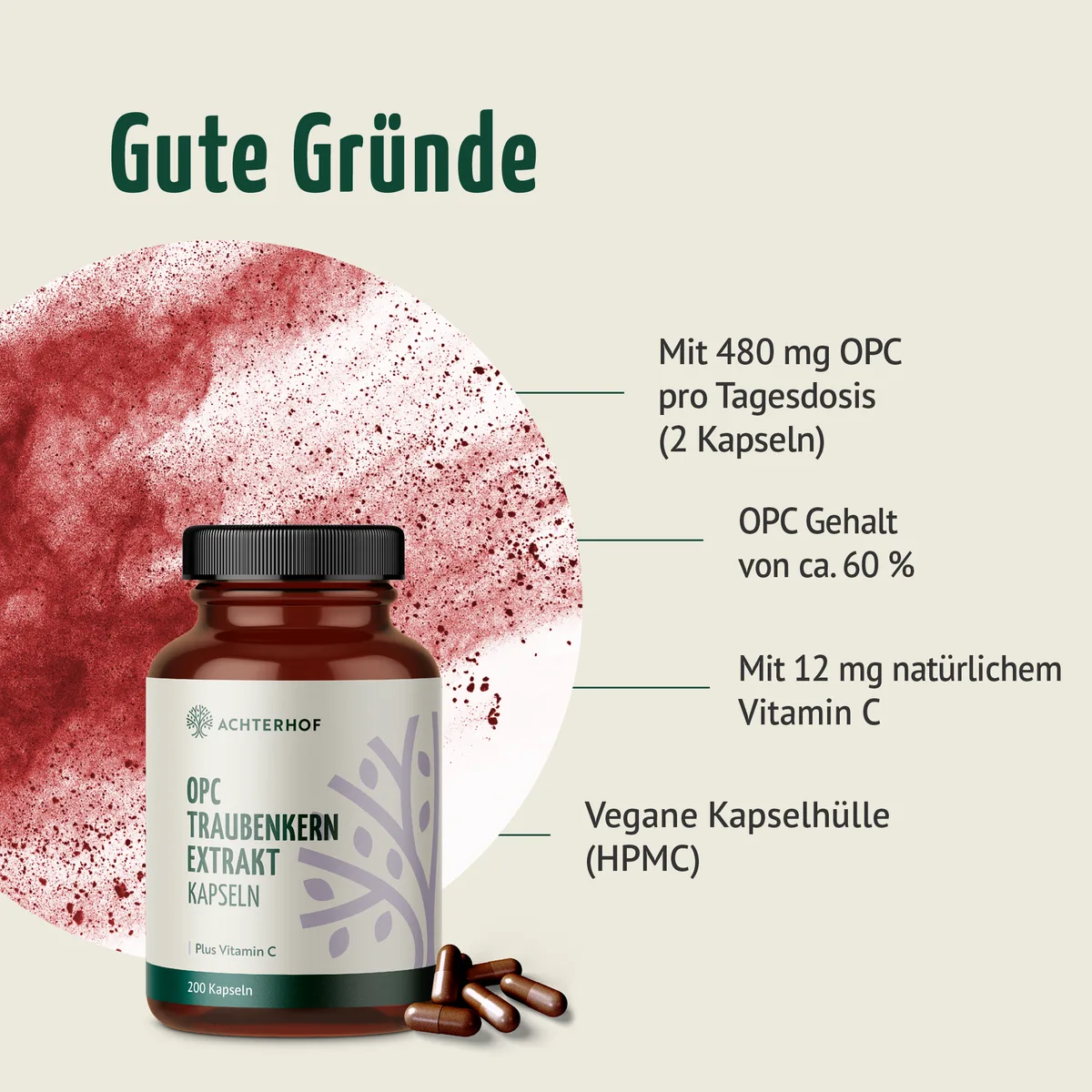 OPC Traubenkernextrakt + Vitamin C Kapseln (200 Kapseln) – Bild 2