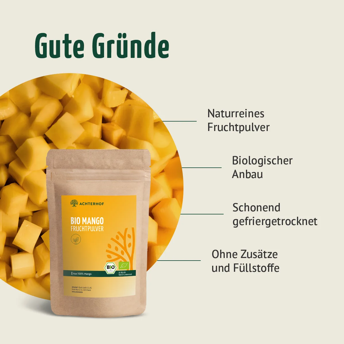 Bio Mango Fruchtpulver (100g) – Bild 5