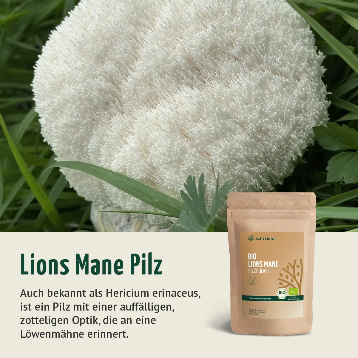 Bio Lions Mane Pilzpulver (100g) – Bild 4