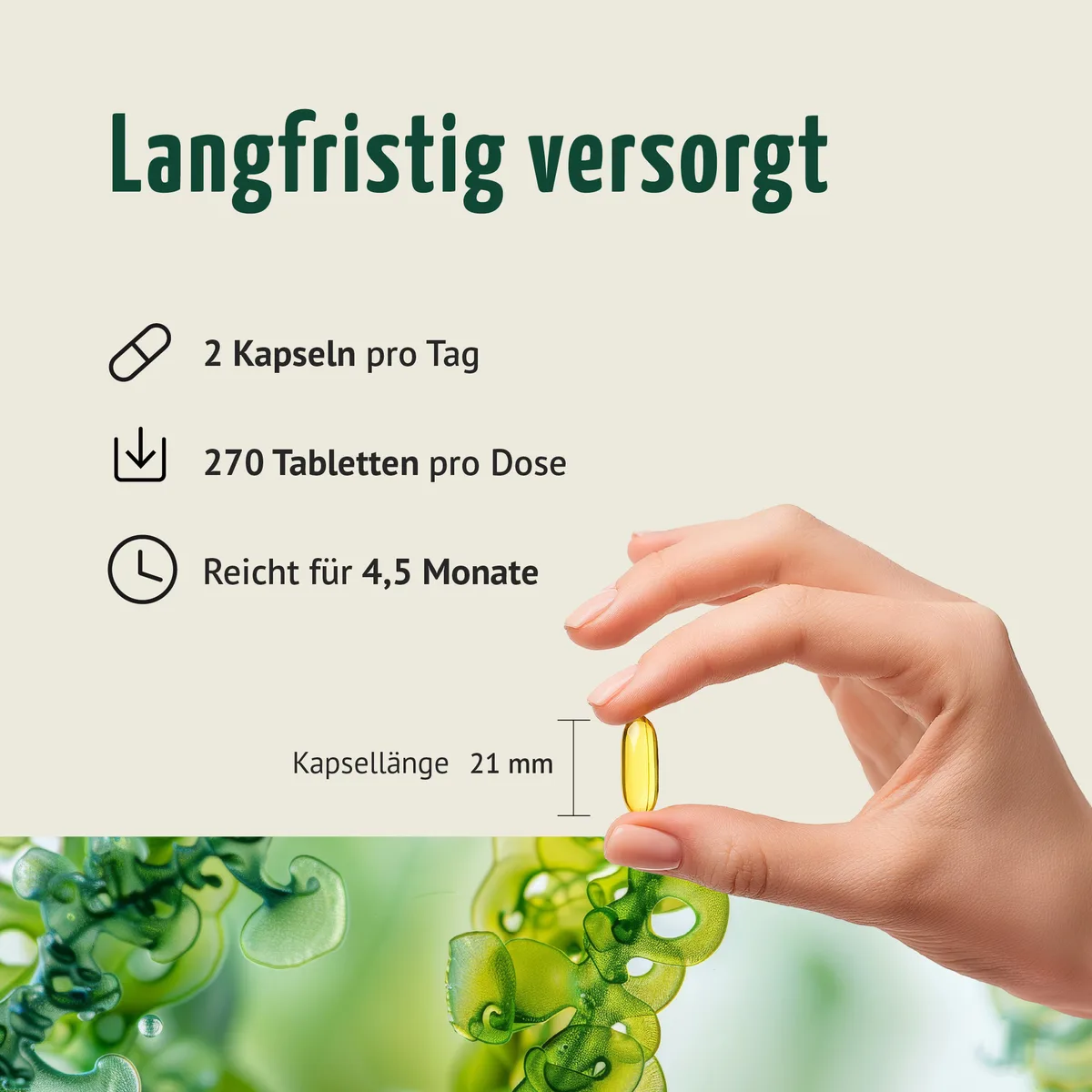 Vegane Omega-3 Kapseln (270 Kapseln) – Bild 5