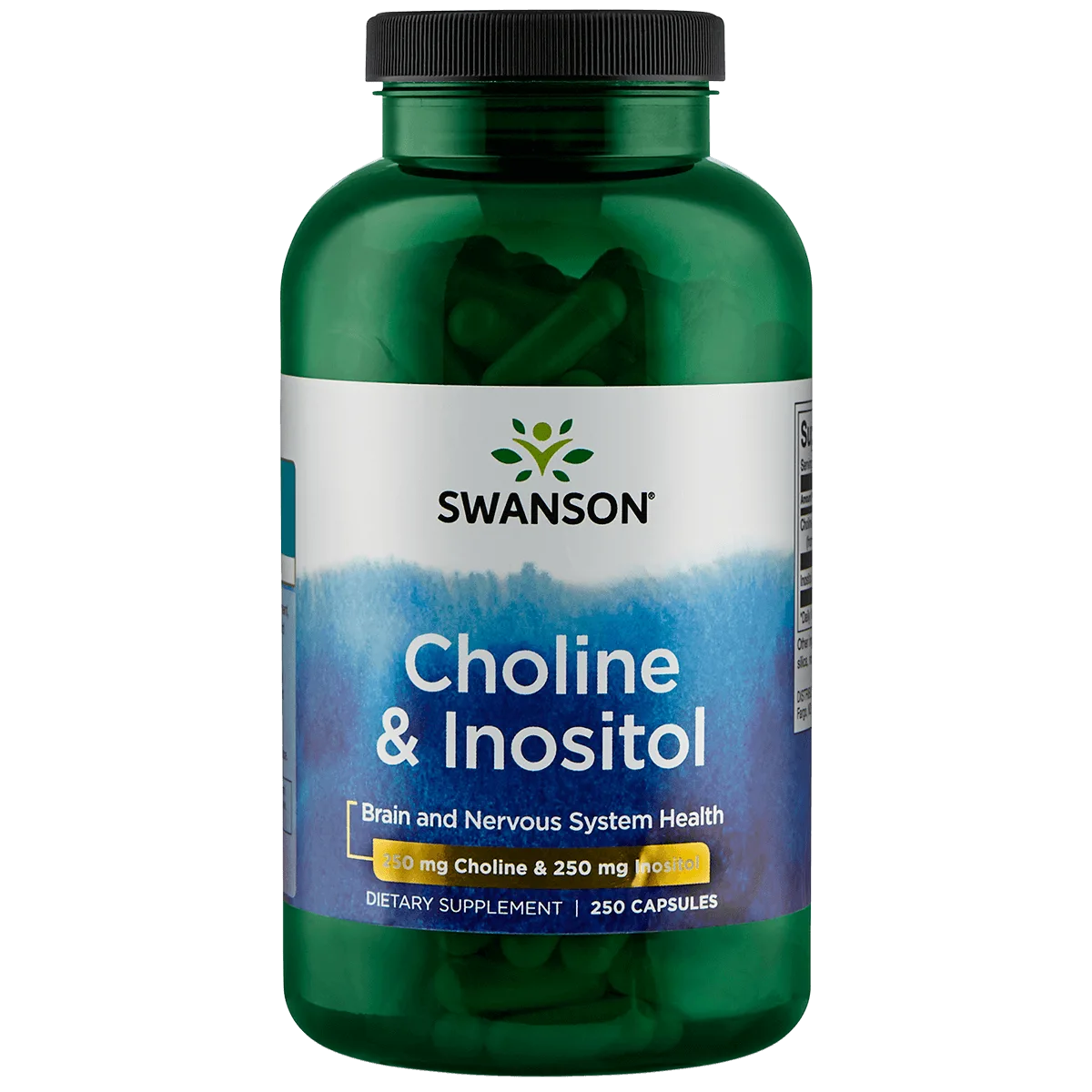 Choline en Inositol 250/250 mg 250.0