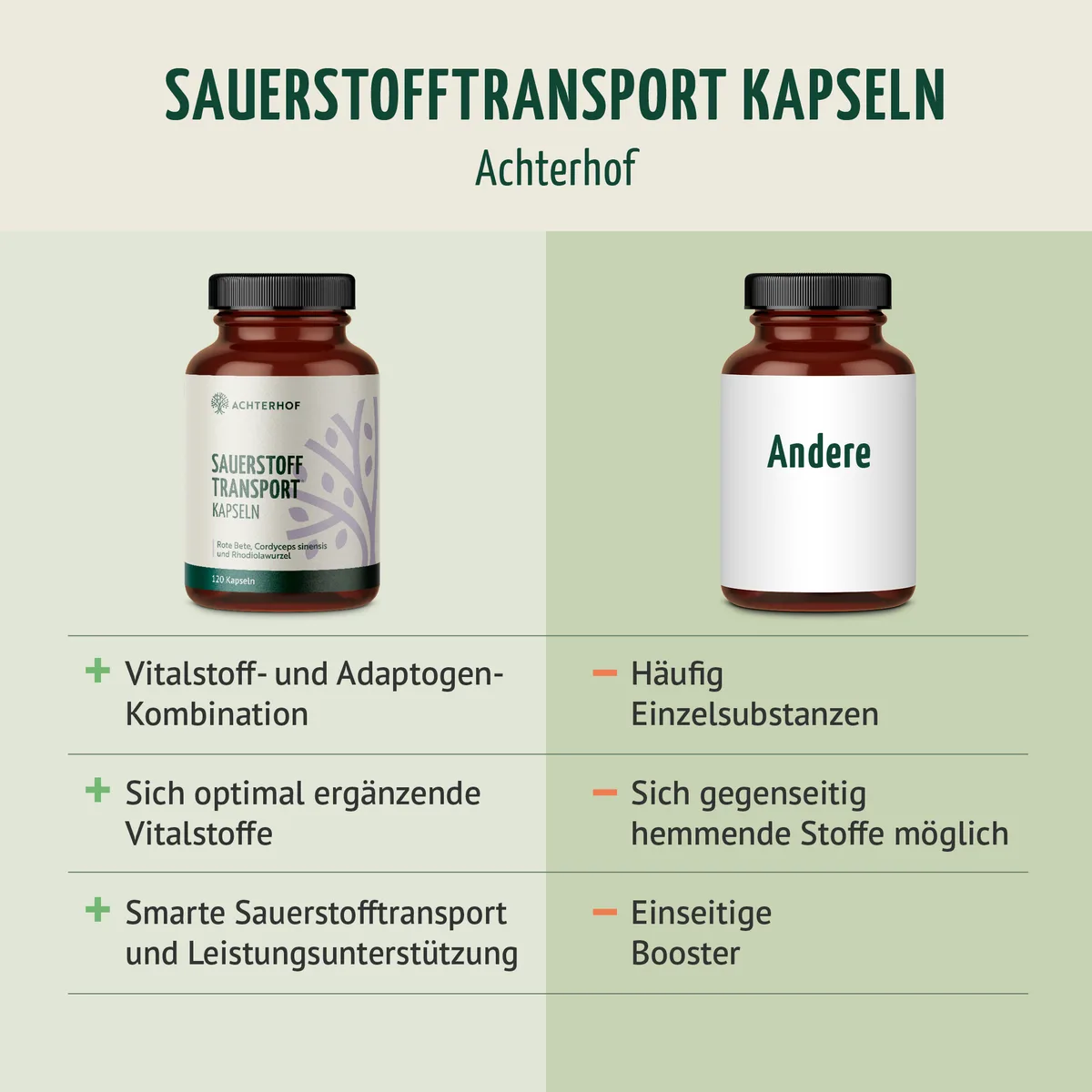 Sauerstoff Transport Kapseln (120 Kapseln) – Bild 5