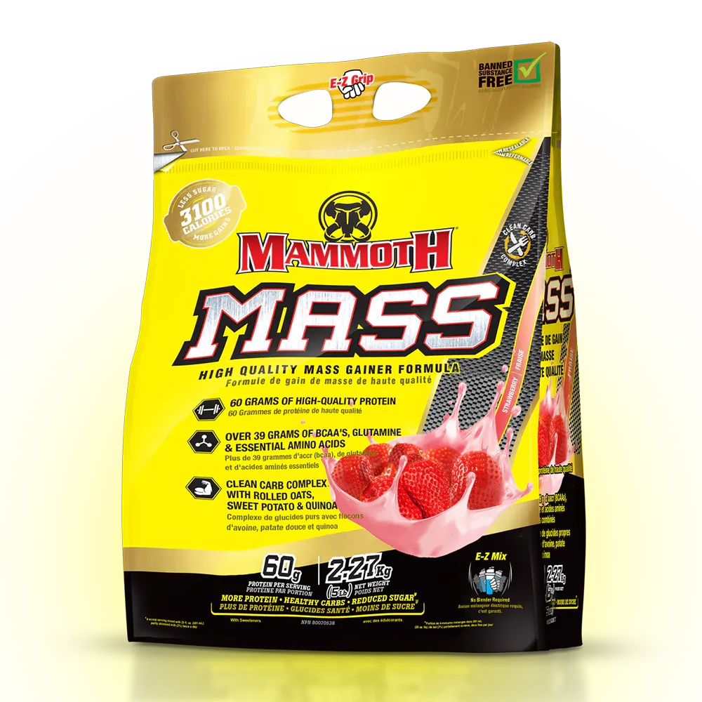 Mammoth Mass Vanilla / 2270.0 – Bild 4