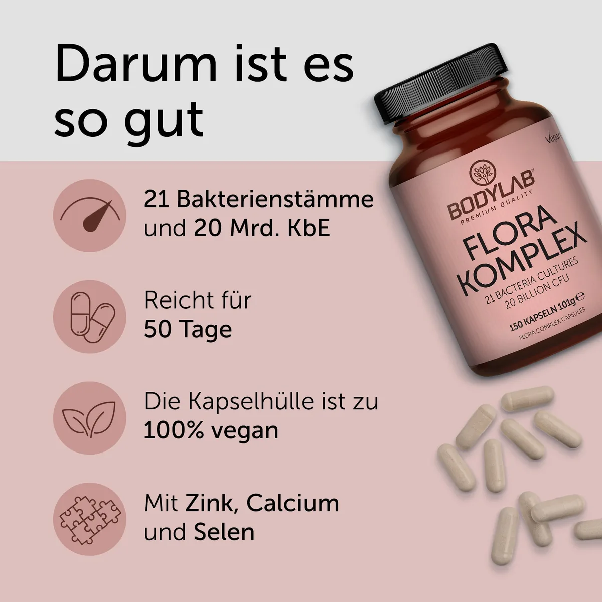 Flora Complex / Komplex (150 Kapseln) (21 Bacteria Cultures 20 Billion CFU) – Bild 2