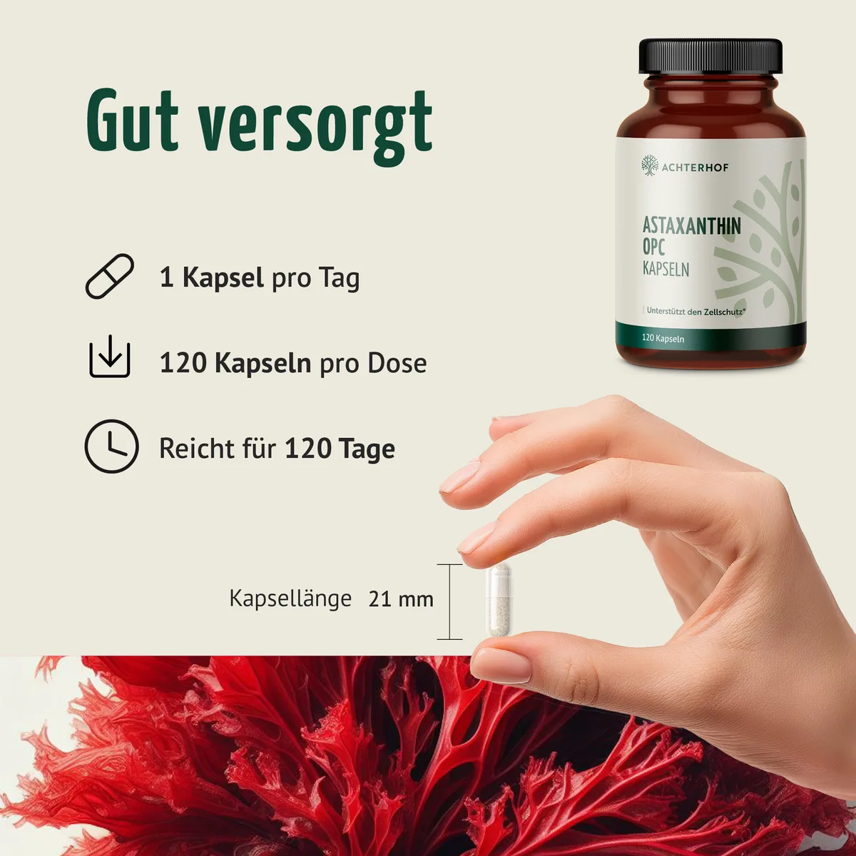 Astaxanthin OPC Zellschutz Kapseln (120 Kapseln) – Bild 4