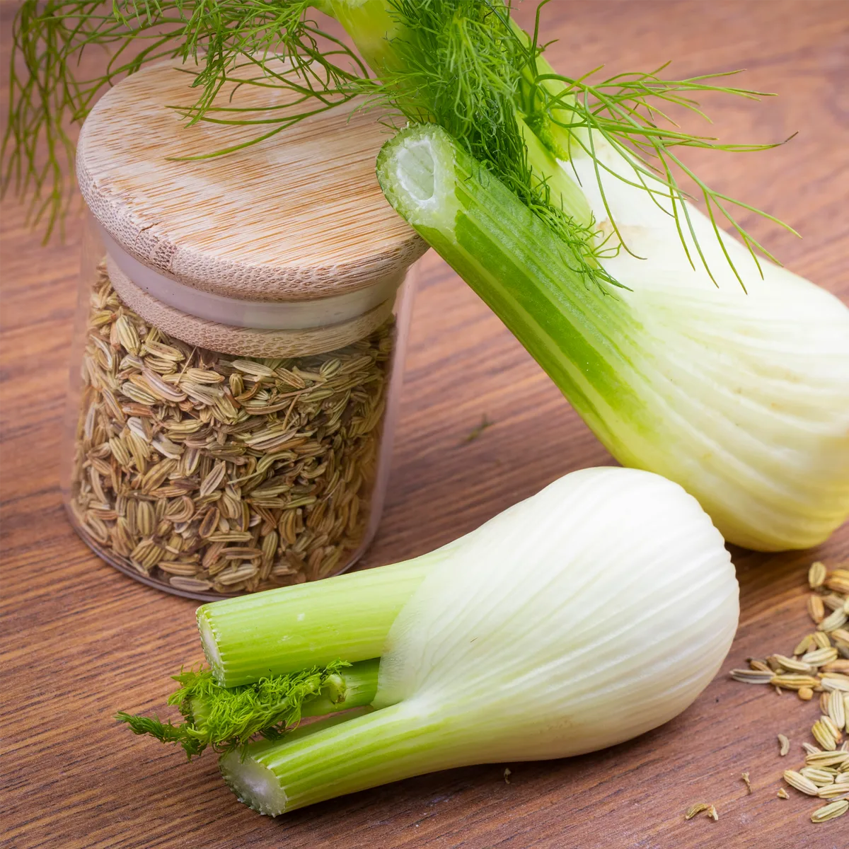 Fenchelsamen ganz (500g) – Bild 6