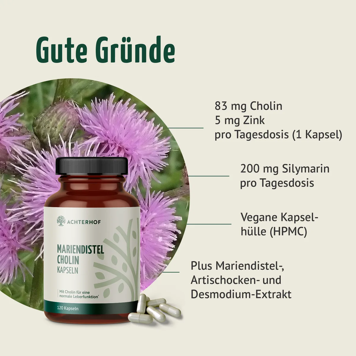 Mariendistel Cholin Kapseln (120 Kapseln) – Bild 2