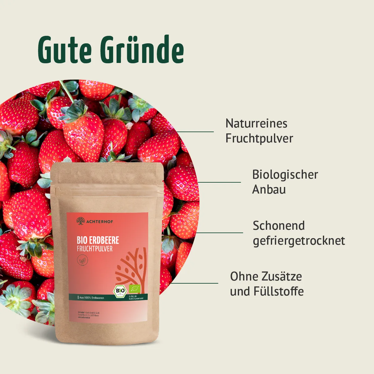 Bio Erdbeere Fruchtpulver (100g) – Bild 5