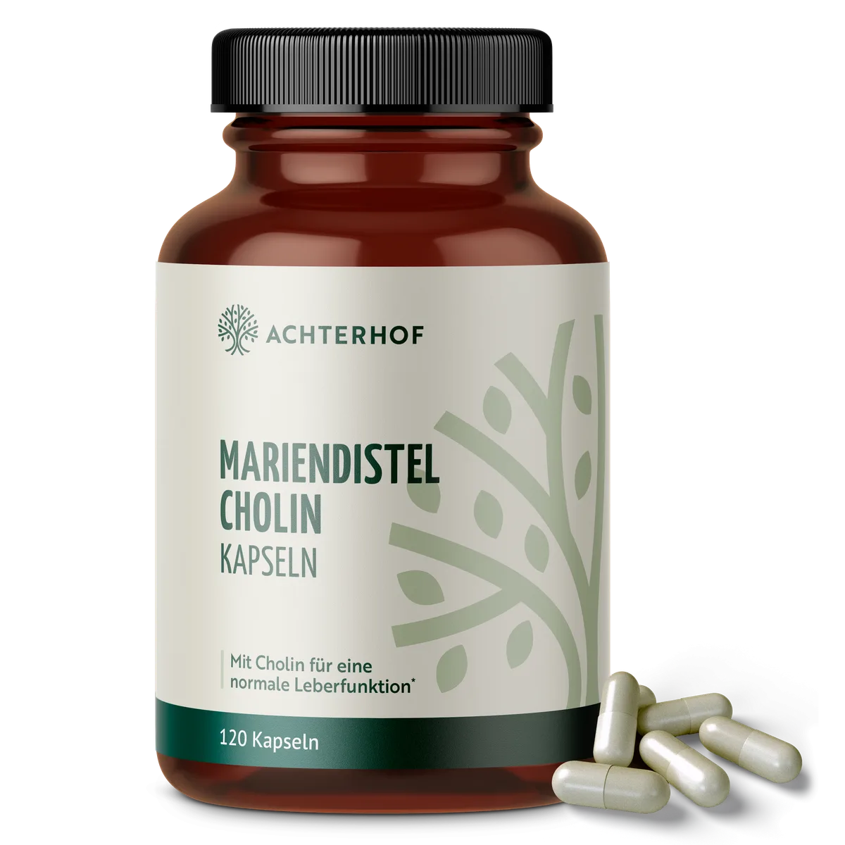 Mariendistel Cholin Kapseln (120 Kapseln)