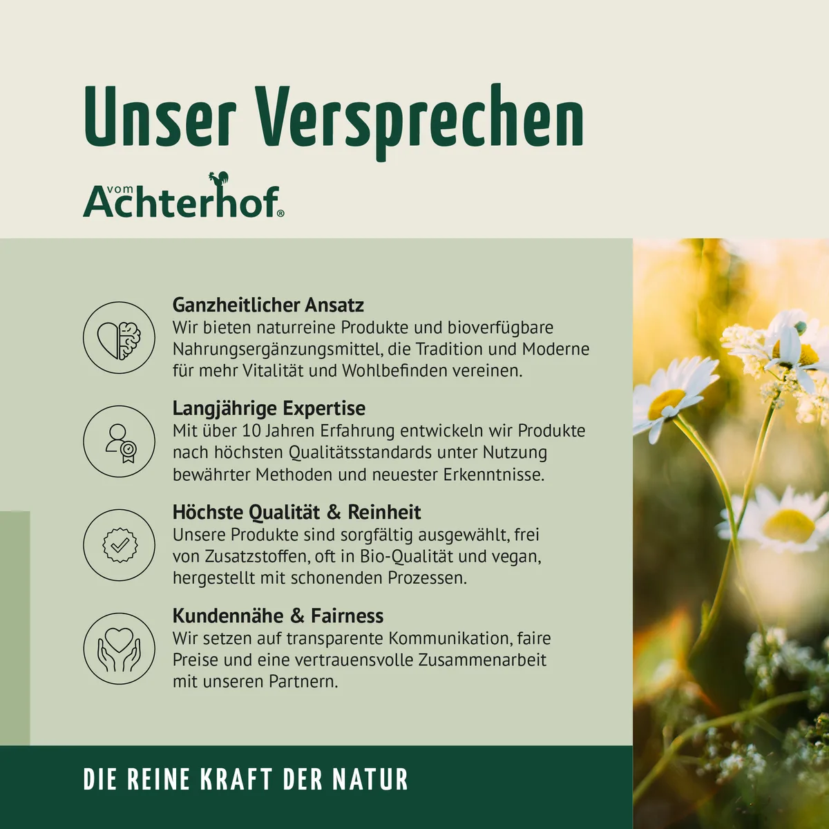 Kreatin Monohydrat Pulver (100g) – Bild 8