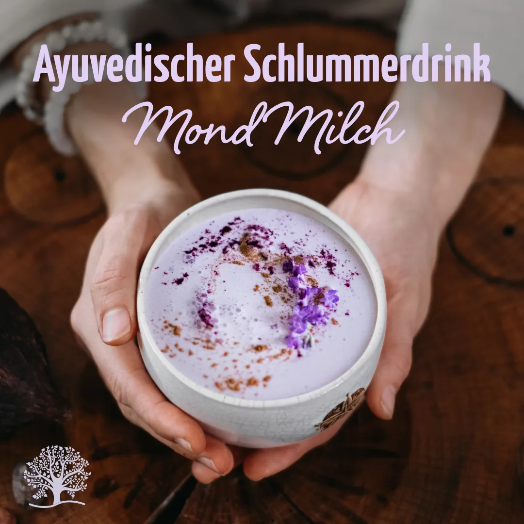Mond Milch Mischung 3er Bio Set + Frischhaltedosen – Bild 4