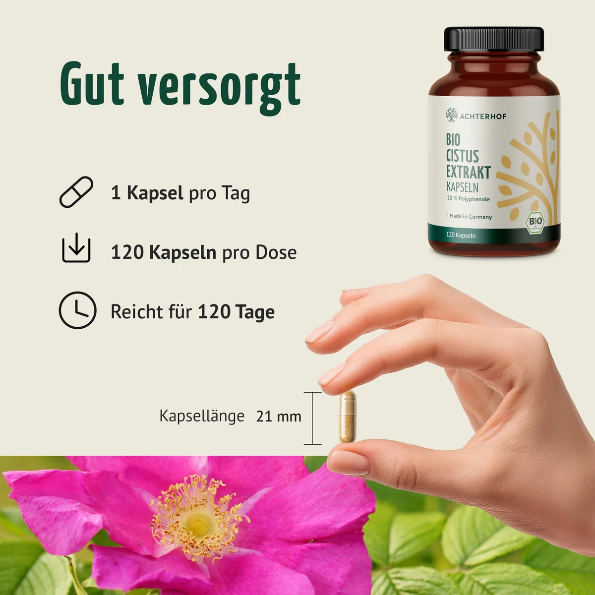Bio Cistus Extrakt Kapseln (120 Kapseln) – Bild 4