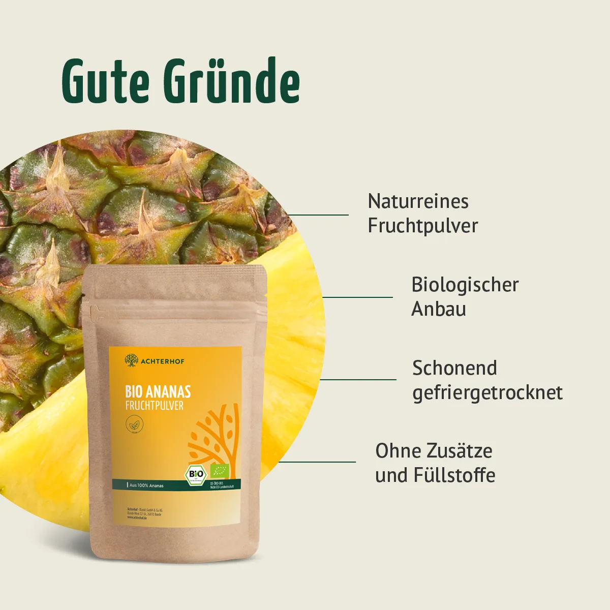 Bio Ananas Fruchtpulver (250g) – Bild 5