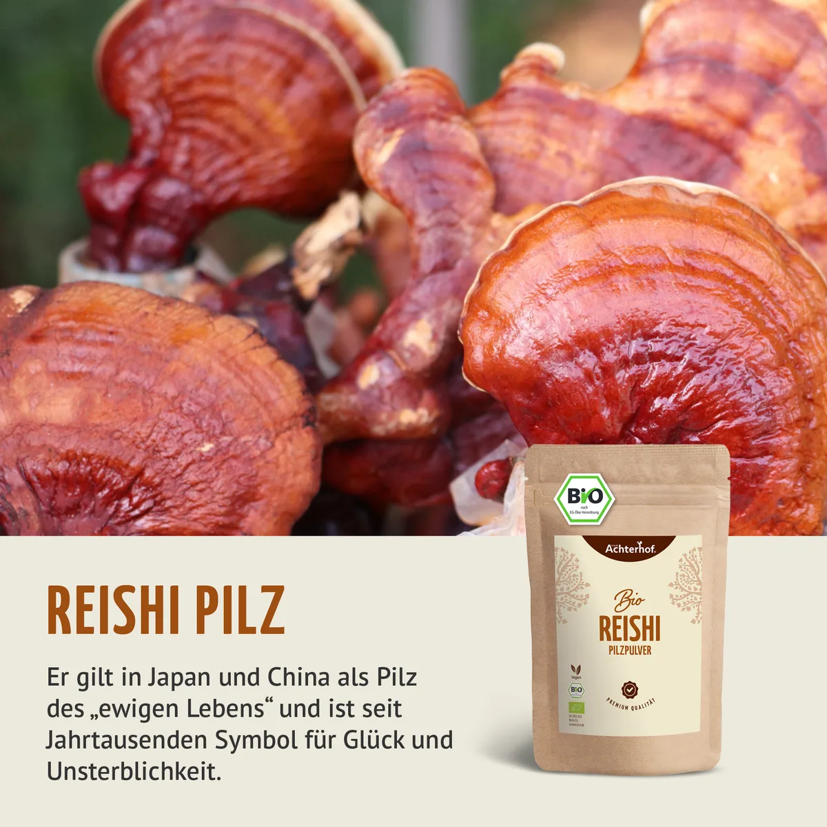 Bio Reishi Pilzpulver (100g) – Bild 4