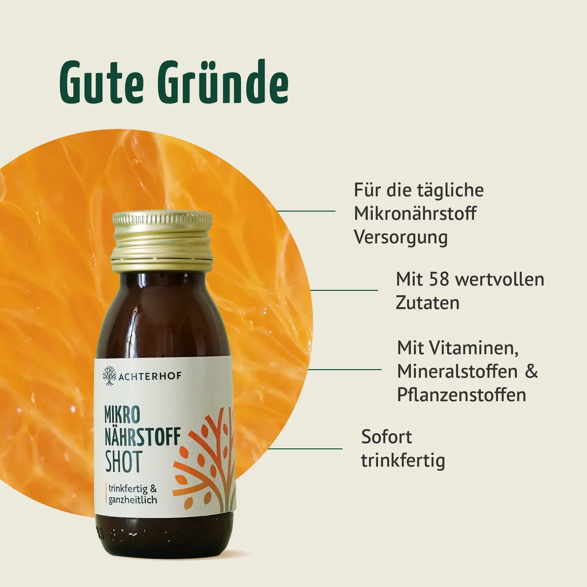 Fasten Mikronährstoff Paket – Bild 8