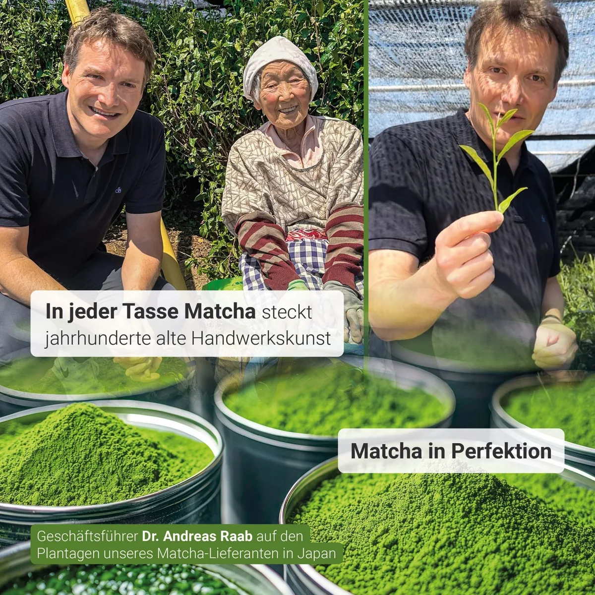 Bio Matcha Premium Pulver (30g) – Bild 7