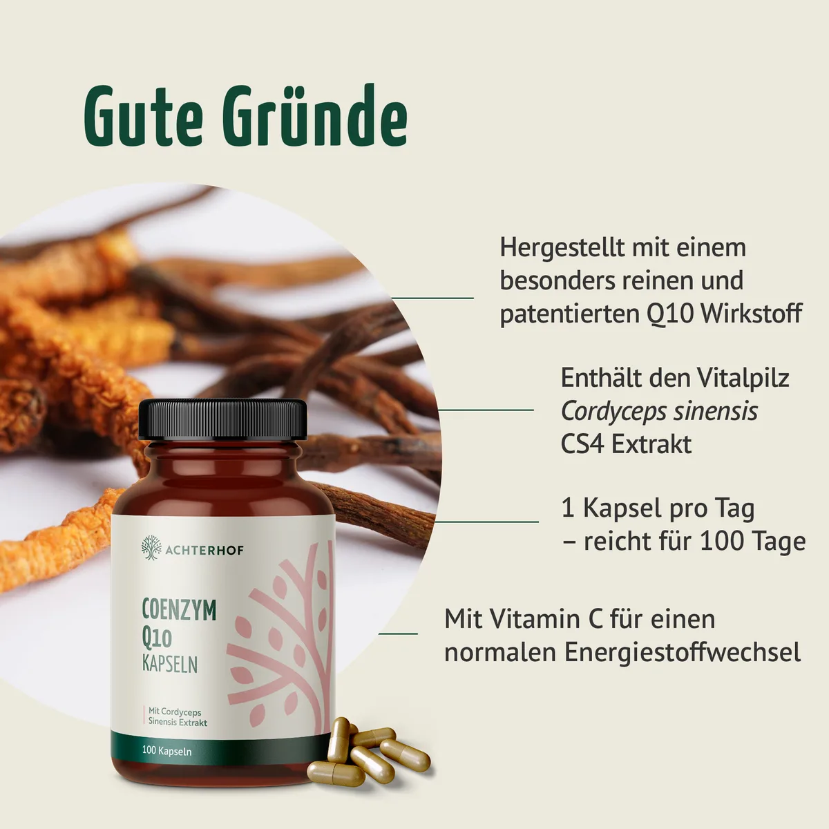 Coenzym Q10 Cordyceps (100 Kapseln) – Bild 2