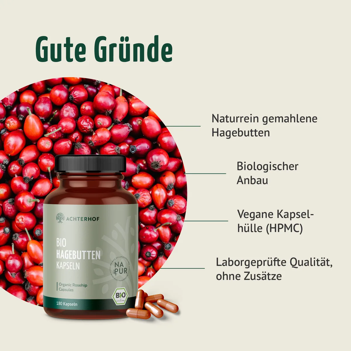Bio Hagebutten Kapseln (180 Kapseln) – Bild 3