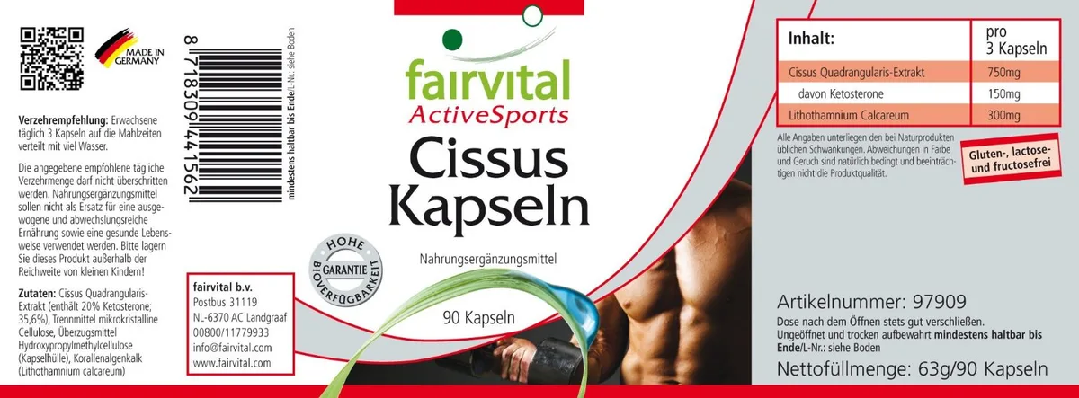 Cissus (90 Kapseln) – Bild 2