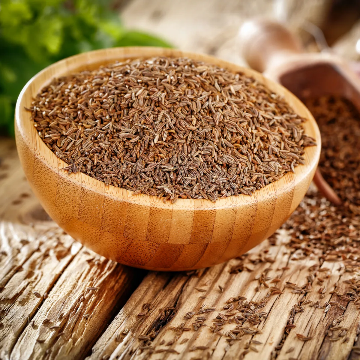 Kümmelsamen ganz Bio (250g) – Bild 5